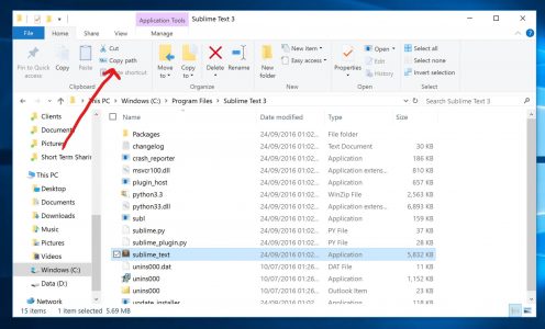 An image showing where the copy full path button is inside the windows file explorer